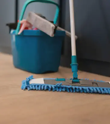 Cleaning Services