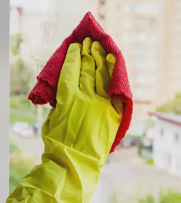 Window Cleaning